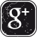 Google+